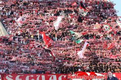 2022_10_15_bari_ascoli_0_2_014